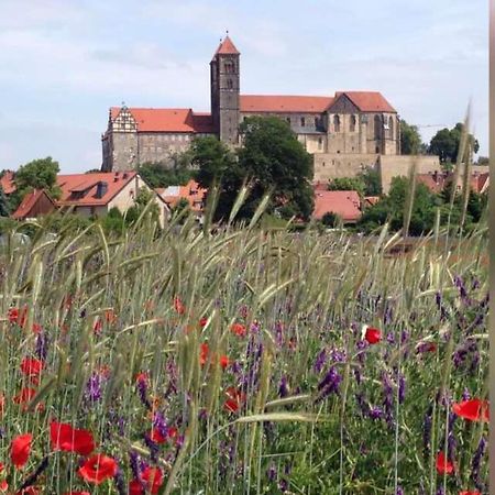 Ferienhaus Harzvorland Ballenstedt Esterno foto